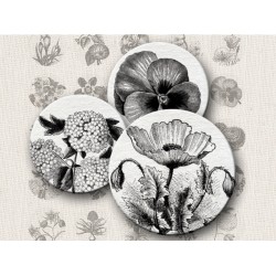 Botanical II Digital Round Images 1 Inch 2.54 cm Collage Sheet Printable