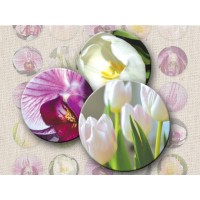 Tulips Digital Round Images 1 Inch 2.54 cm Collage Sheet Printable
