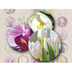 Tulips Digital Round Images 1 Inch 2.54 cm Collage Sheet Printable