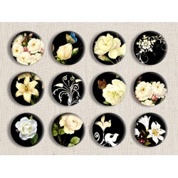 Botanical Black and White Digital Circles 1 Inch 2.54 cm White Roses