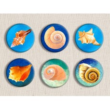 Sea Shells Digital Rounds Printables 1 Inch 2.54 cm Collage Sheet Sea Creatures