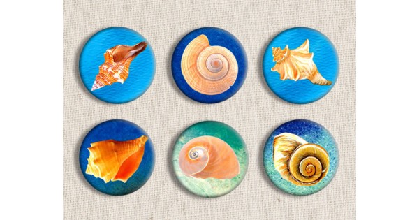 Sea Shells Digital Rounds Printables 1 Inch 2.54 cm Collage Sheet Sea Creatures
