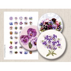 Spring Pansy Digital Round Images 1 Inch 2.54 cm Collage Sheet Printable