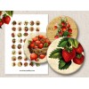 Sweet Strawberry Digital Round Images 1 Inch 2.54 cm Collage Sheet Printable
