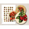 Sweet Strawberry Digital Round Images 1 Inch 2.54 cm Collage Sheet Printable