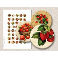 Sweet Strawberry Digital Round Images 1 Inch 2.54 cm Collage Sheet Printable